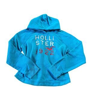 Vintage Y2K Hollister Bird Spellout 1922 Hoodie Beach Preppy Blue Large Pullover